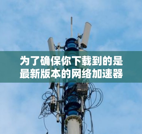 为了确保你下载到的是最新版本的网络加速器，并且能够安全使用，按照以下步骤进行操作