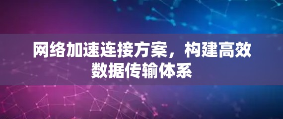 网络加速连接方案，构建高效数据传输体系