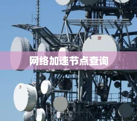 网络加速节点查询