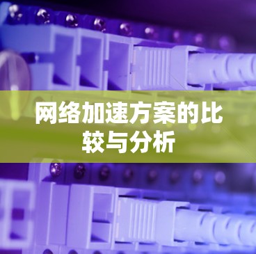 网络加速方案的比较与分析