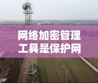网络加密管理工具是保护网络数据安全的重要组成部分，涵盖了从策略制定到数据存储的多个方面。以下是对这些工具的详细总结