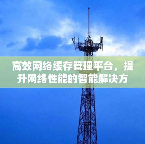 高效网络缓存管理平台，提升网络性能的智能解决方案