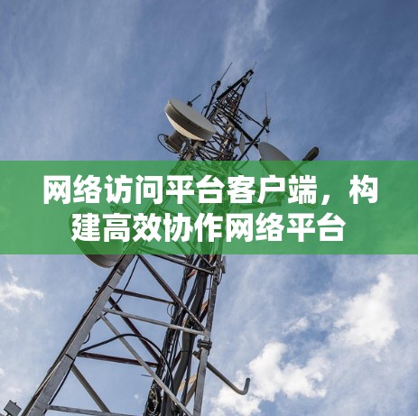 网络访问平台客户端，构建高效协作网络平台