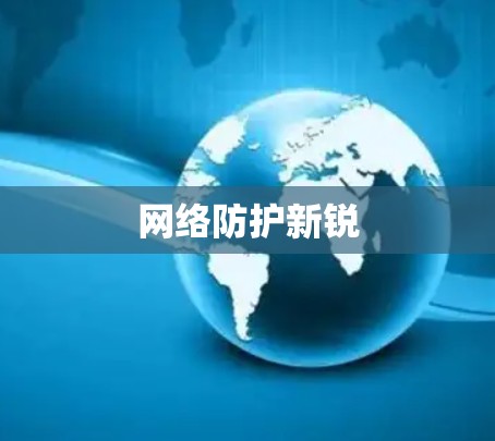 网络防护新锐
