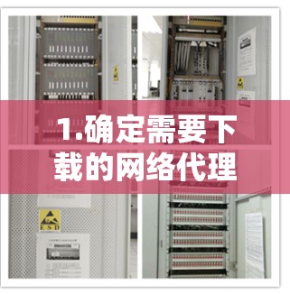 1.确定需要下载的网络代理平台