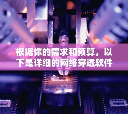 根据你的需求和预算，以下是详细的网络穿透软件推荐，帮助你有效地检测和阻止恶意软件