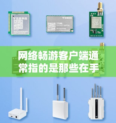 网络畅游客户端通常指的是那些在手机上使用的网络畅游（如微信、QQ等）应用程序。这些客户端通常提供多种功能，包括但不限于