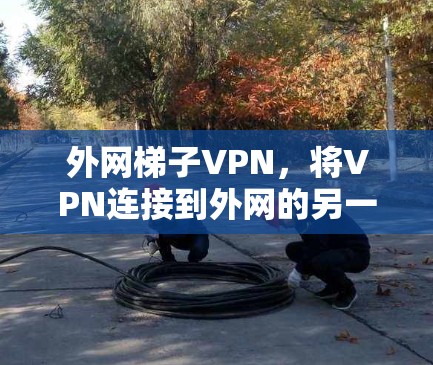 外网梯子VPN，将VPN连接到外网的另一种方式