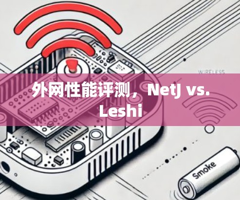 外网性能评测，NetJ vs.Leshi