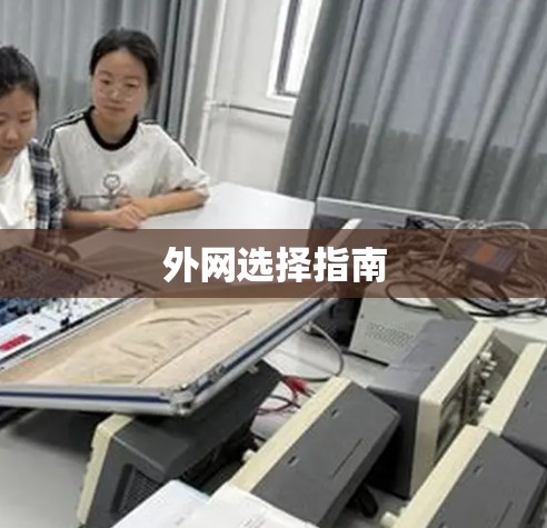 外网选择指南