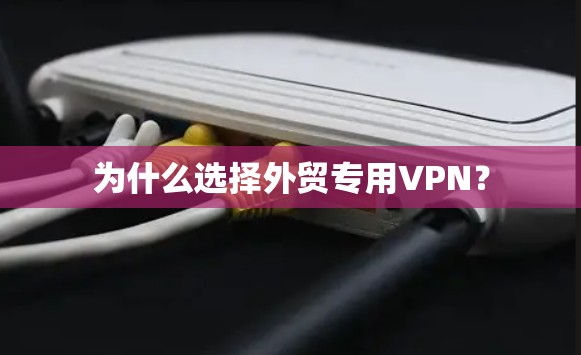 为什么选择外贸专用VPN？