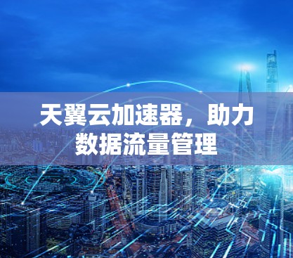 天翼云加速器，助力数据流量管理