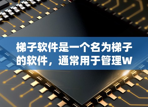 梯子软件是一个名为梯子的软件，通常用于管理Windows系统中的文件和项目结构。以下是对该软件的详细说明