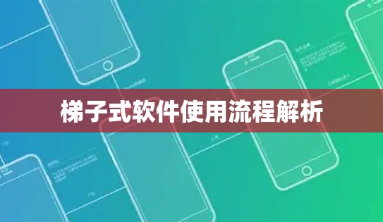梯子式软件使用流程解析