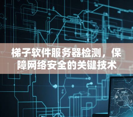 梯子软件服务器检测，保障网络安全的关键技术