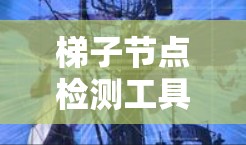 梯子节点检测工具用于分析树结构中的梯子结构，识别节点和边，适合生物信息学和数据挖掘等领域。以下是详细的步骤指南