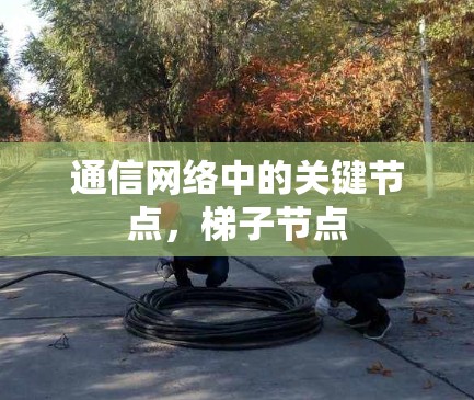 通信网络中的关键节点，梯子节点