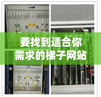 要找到适合你需求的梯子网站，以下是一个系统化的推荐指南