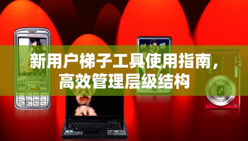 新用户梯子工具使用指南，高效管理层级结构