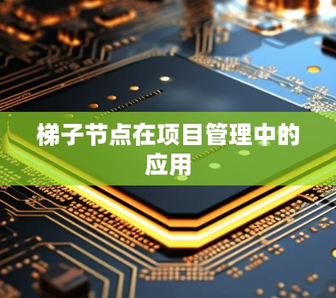 梯子节点在项目管理中的应用