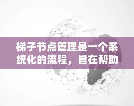 梯子节点管理是一个系统化的流程，旨在帮助项目管理者高效地管理项目中的节点。以下是逐步的梯子节点管理方法