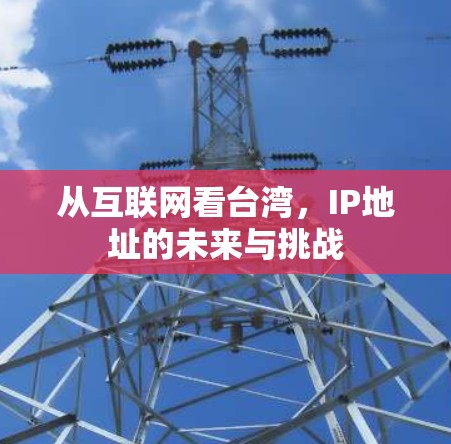 从互联网看台湾，IP地址的未来与挑战