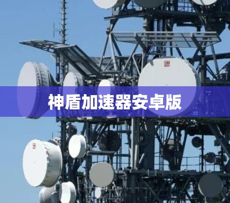神盾加速器安卓版