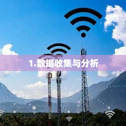1.数据收集与分析