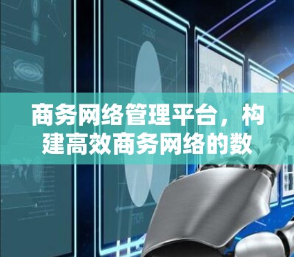 商务网络管理平台，构建高效商务网络的数字化解决方案