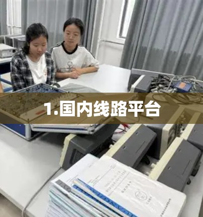 1.国内线路平台