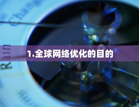 1.全球网络优化的目的