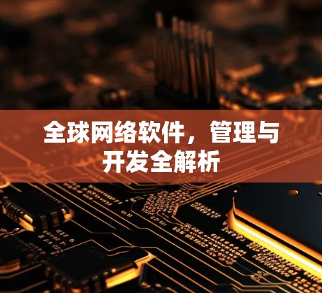 全球网络软件，管理与开发全解析