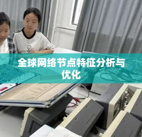 全球网络节点特征分析与优化