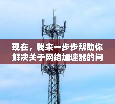 现在，我来一步步帮助你解决关于网络加速器的问题