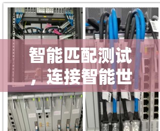 智能匹配测试，连接智能世界的未来