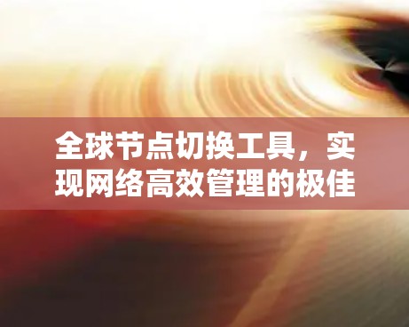 全球节点切换工具，实现网络高效管理的极佳选择