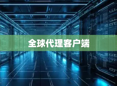 全球代理客户端