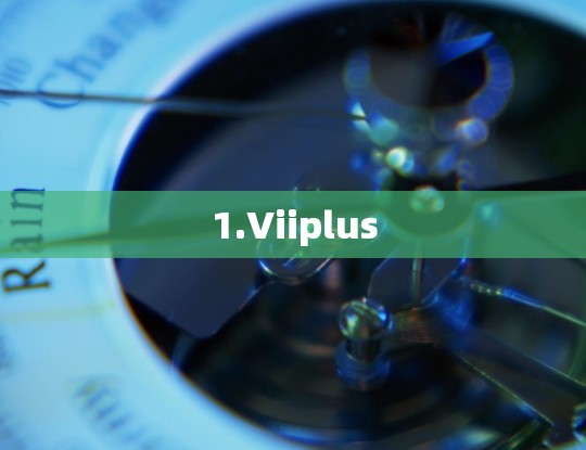 1.Viiplus