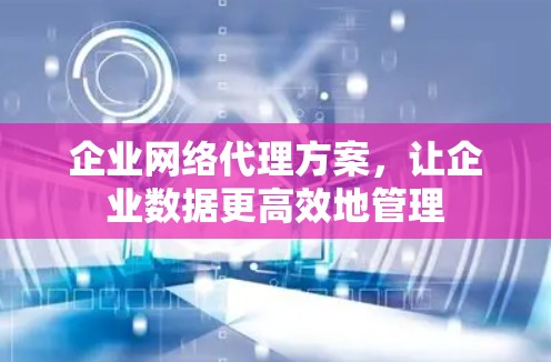 企业网络代理方案，让企业数据更高效地管理