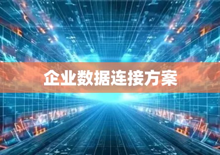 企业数据连接方案
