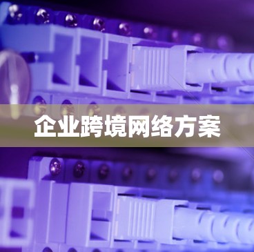 企业跨境网络方案