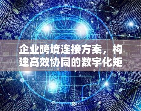 企业跨境连接方案，构建高效协同的数字化矩阵