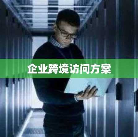 企业跨境访问方案