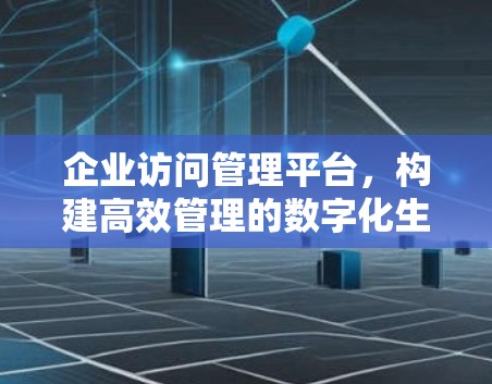 企业访问管理平台，构建高效管理的数字化生态