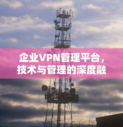 企业VPN管理平台，技术与管理的深度融合